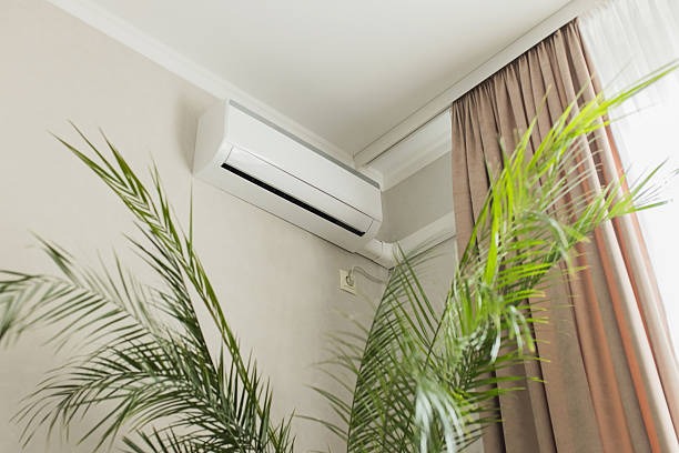 picture from inside a house from a lower angle showing the top of a plant and an indoor ac unit