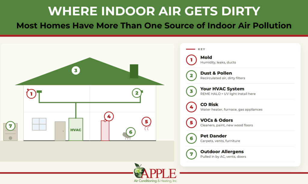 indoor air pollution: sources of indoor air pollution infographic